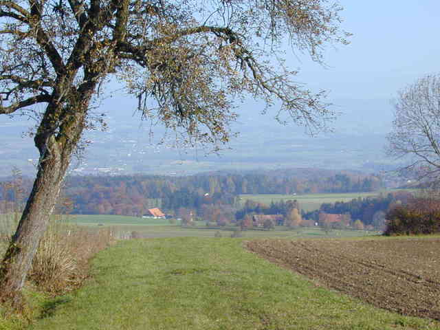 Landschaft Geltwil